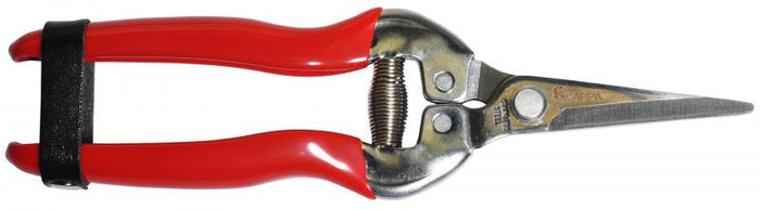 Tijera Carpa Limpia Uvas # 02K18 - 18 Cms.