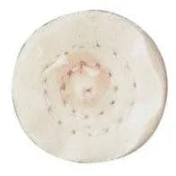 Disco Pulidor De Tela 25.4 Mm. (423)